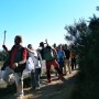 Peregrinos de Daroca: Portomarín - Palas de Rei