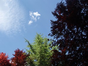 Parque en Brihuega