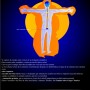 Más allá de la ciencia (Cap. 13): "Campos de abstracción y cuerpos de luz" (3ª parte)