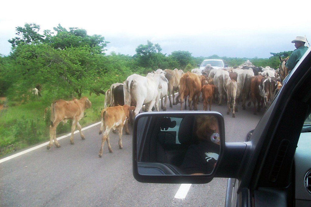 1-Hacienda en tránsito  por la ruta