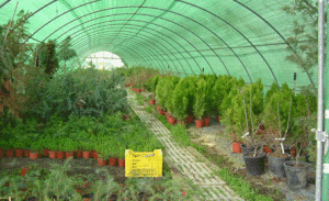 Escuela agropecuaria