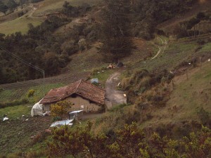 467725930_b431fbff57_z