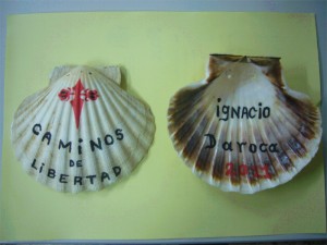 La venera o concha del peregrino