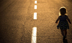 EL CAMINO DE LA VIDA