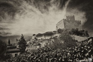 Imagen para Ajenjo 2