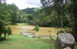 Monteclaro Country Club-1