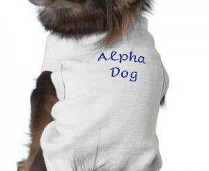 Perro alpha