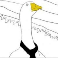 Imagen de Javier Mesa