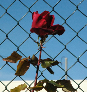 la reflexion de una madre