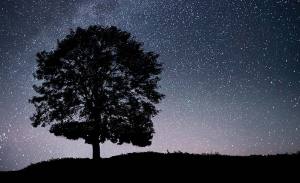 noche-estrellas-cieloastur