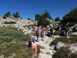 Un alto en el camino