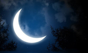 versos inconsonantes