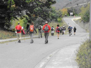 Y al saludo de Buen camino peregrinos echamos a andar