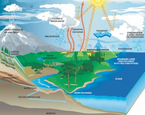 El ciclo del agua